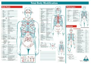 TBM Menu Chart - Body Points, Vintage Poster