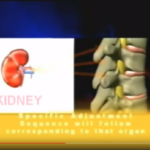 Intro_DVD_6