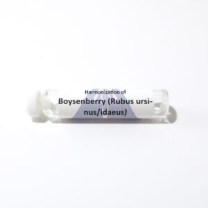 Boysenberry (Rubus ursinus/idaeus)