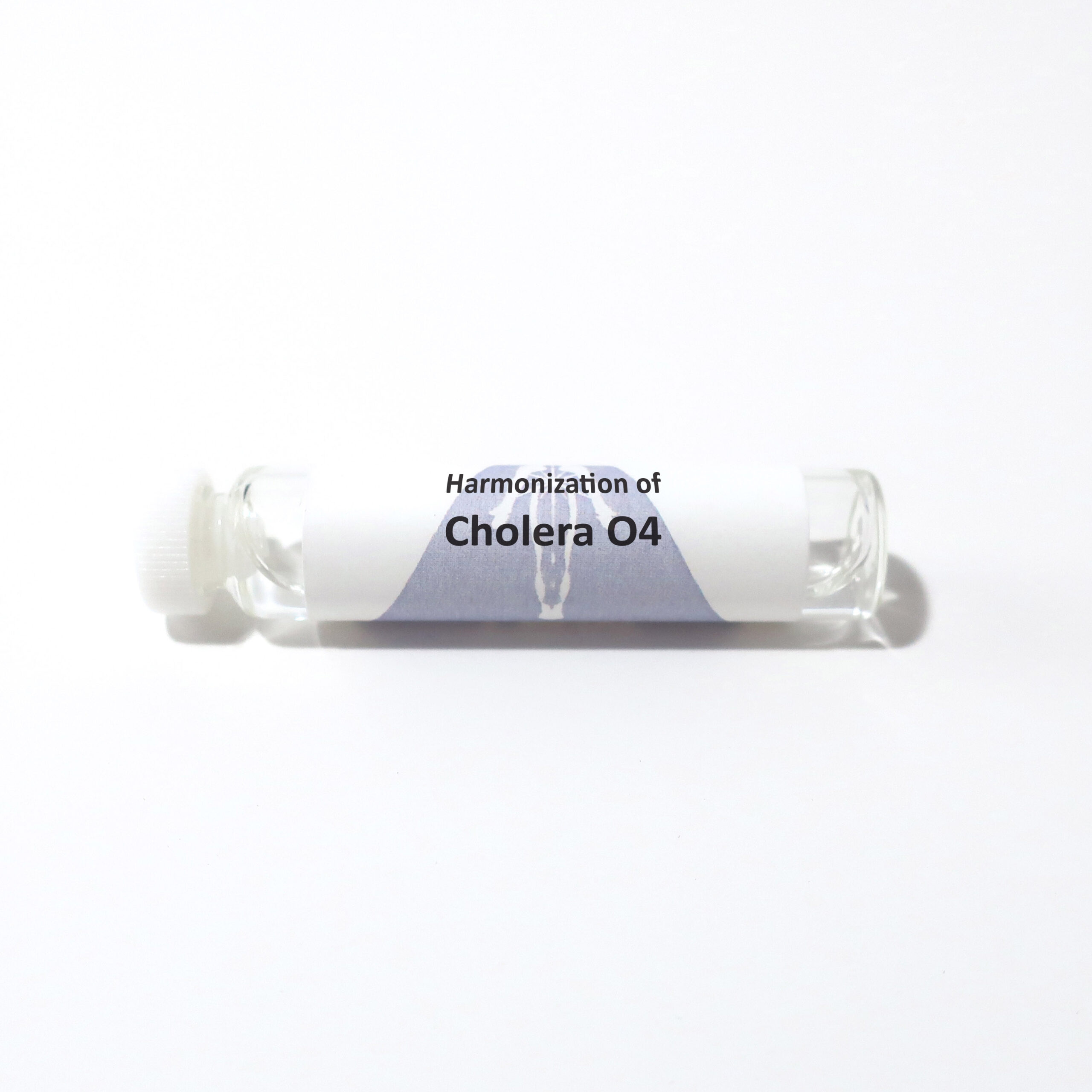 Cholera O4