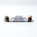Common Integument