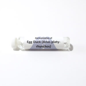 Egg, Duck (Anas platyrhynchos)