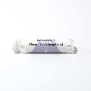 Fleas (Siphonaptera)