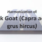 Milk, Goat (Capra aegagrus hircus)