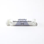 Spinach (Spinacia oleracea)