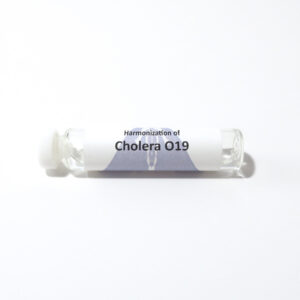 Cholera O19
