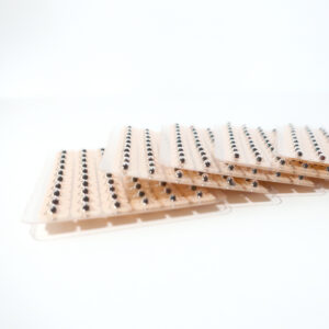 vaccaria_seeds2
