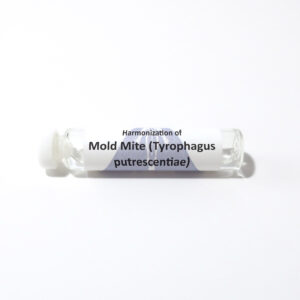 Mold Mite (Tyrophagus putrescentiae)