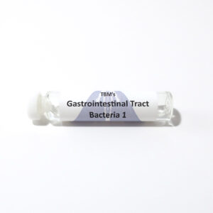 Gastrointestinal Tract Bacteria 1