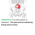 Flash cards module 1_Page170