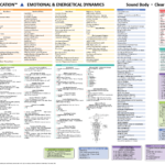 TBM Menu Chart - Emotional & Energetical Dynamics