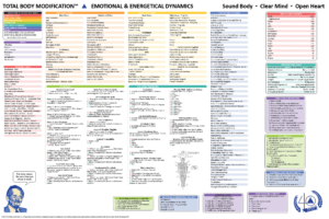 TBM Menu Chart - Emotional & Energetical Dynamics