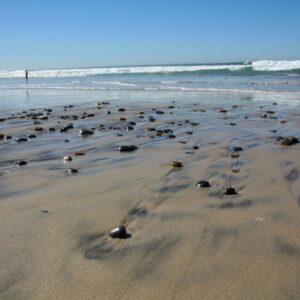 San Diego, California (February 2027) - Practicum 1 - The Basic Exams & Autonomic Recovery Program